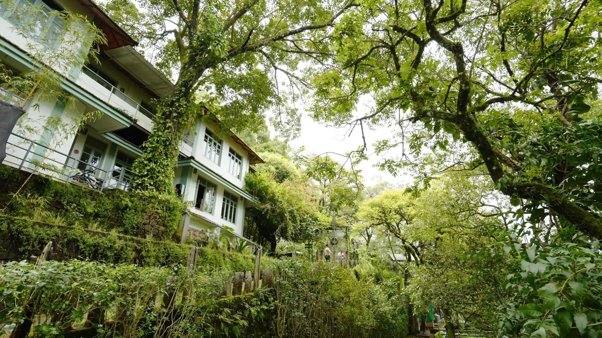 慕那尔黑莓山-自然水疗度假村 蒙纳
