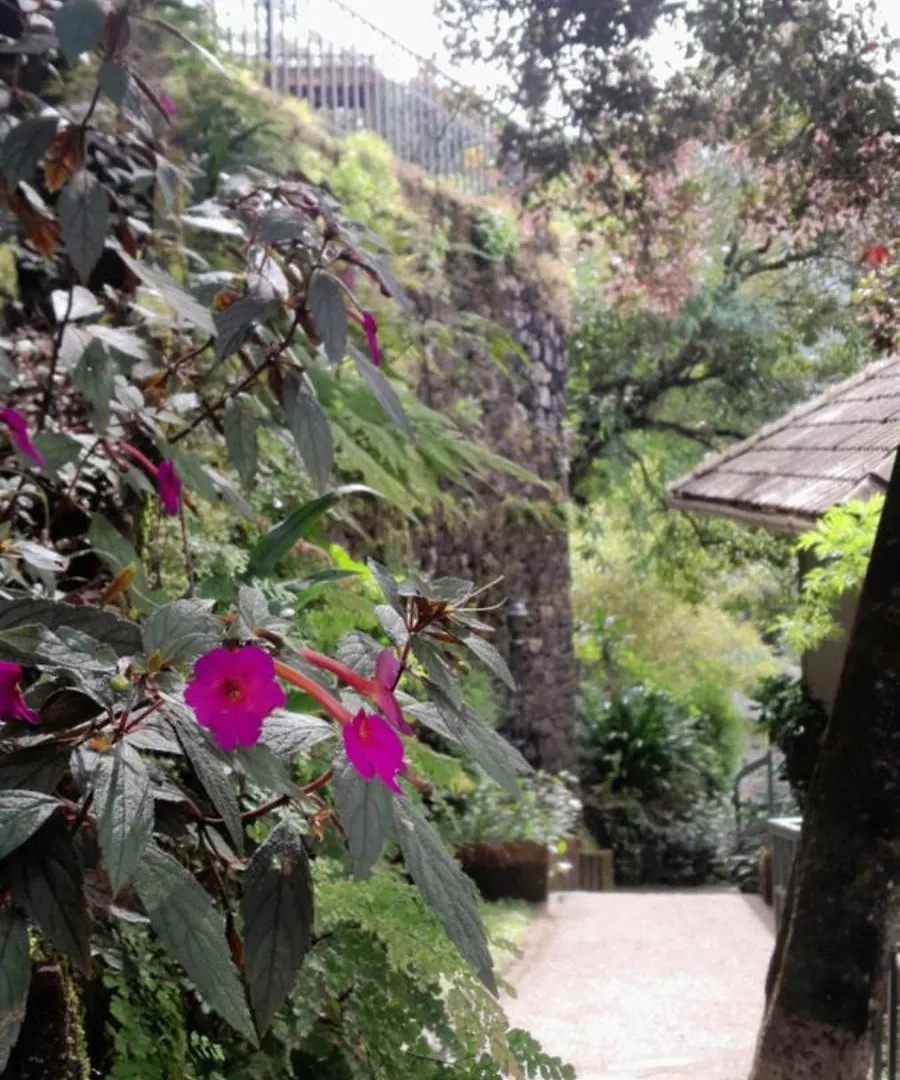 Resort Blackberry Hills Munnar- Nature Resort&Spa