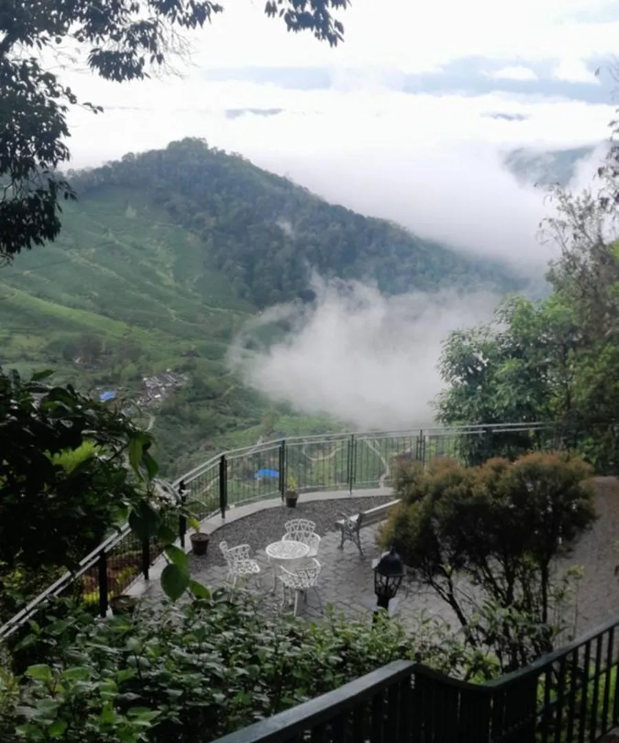 Blackberry Hills Munnar- Nature Resort&Spa 4*, Munnar